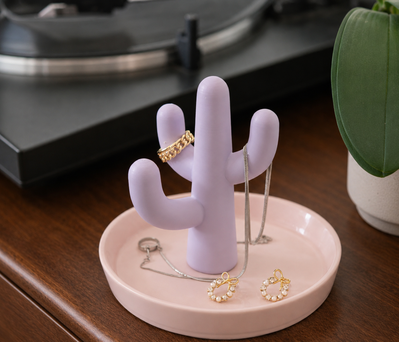 Cactus jewellery holder